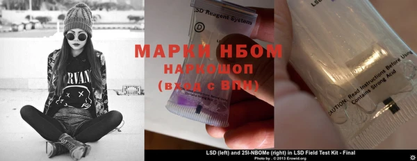 PSILOCYBIN Богданович