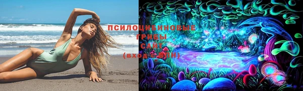 PSILOCYBIN Богданович