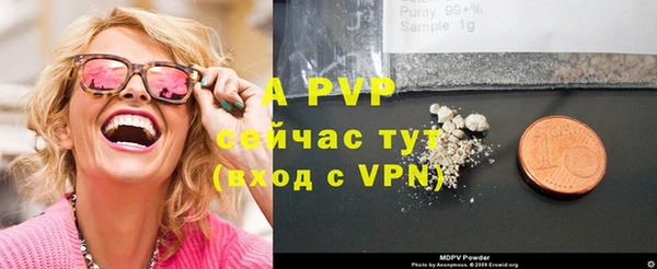 PSILOCYBIN Богданович